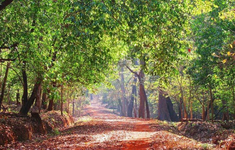 Hilias Retreat Attraction Pictures